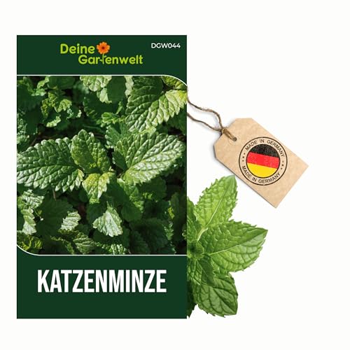 Katzenminze-Samen