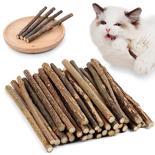 OSDUE 32 Stück Katzenminze Sticks