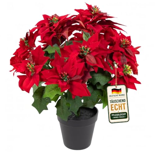 Seidenblumen Roß Großer Weihnachtsstern Nature 38cm samt-rot im Topf PM